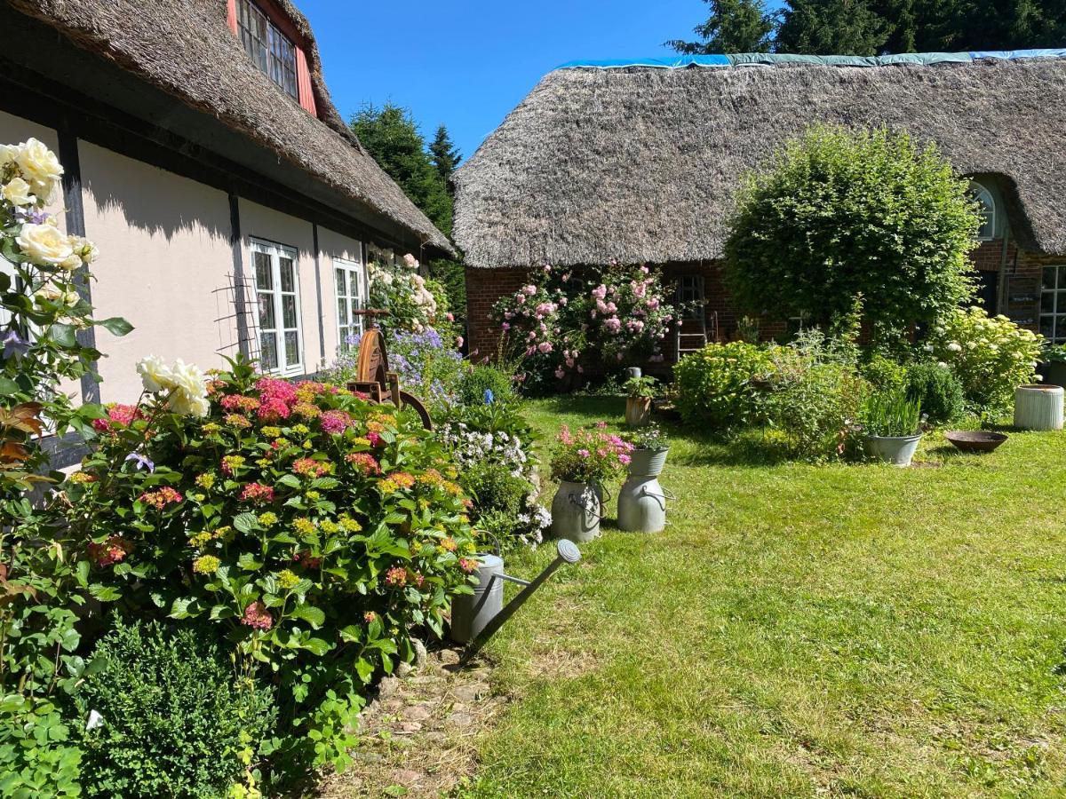 Bed and Breakfast Heddahgaarden Bredal Exteriér fotografie